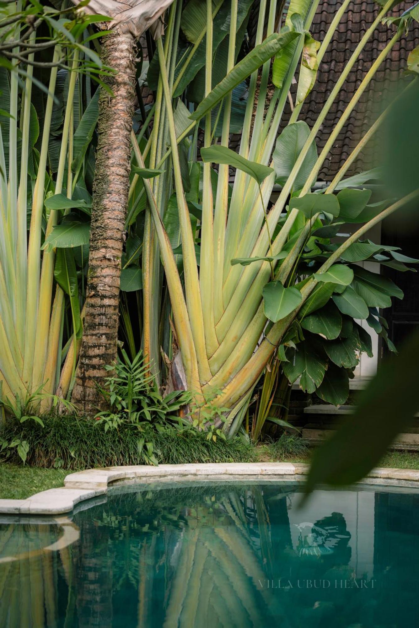 Villa Ubud Heart Exteriör bild